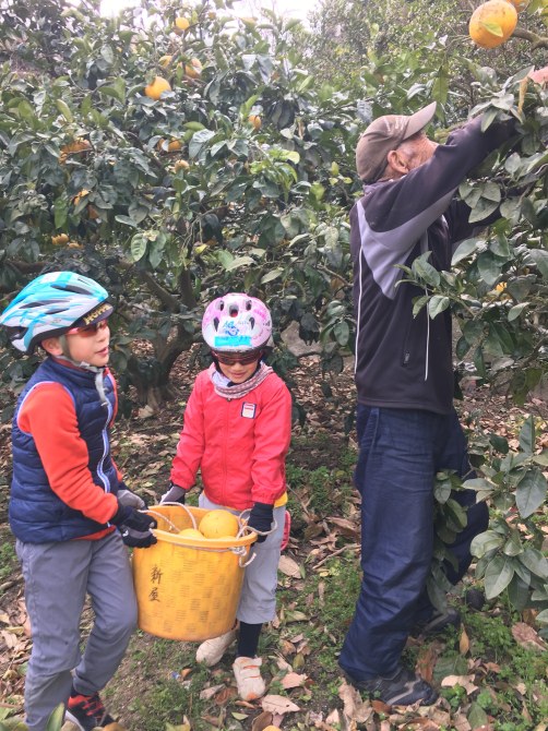 180318タンデム (93)